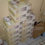 IMG 20130101 01445 150x150 - Dokumentasi Produksi